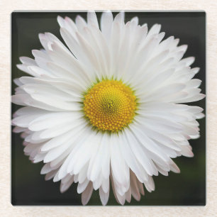 Daisy Glass Coaster