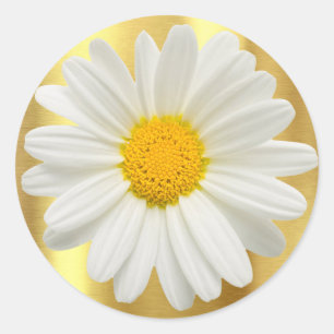 Daisy Gold Cupcake Topper Envelope Favour Gift Classic Round Sticker