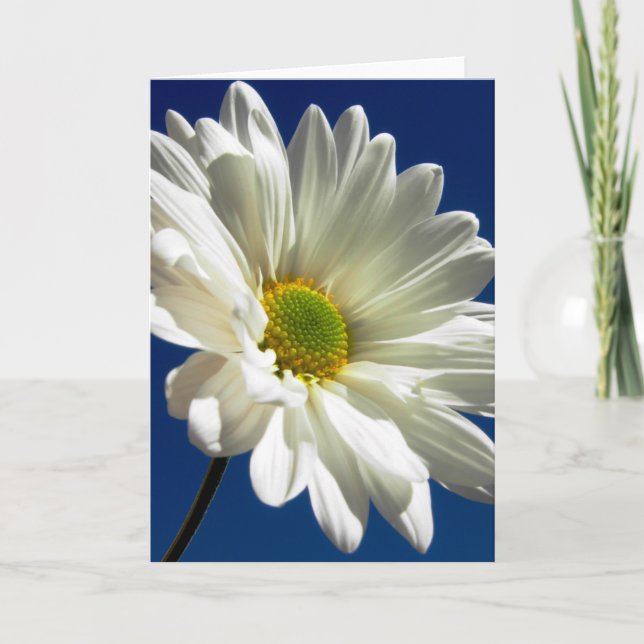 Daisy Greeting Card (Front)