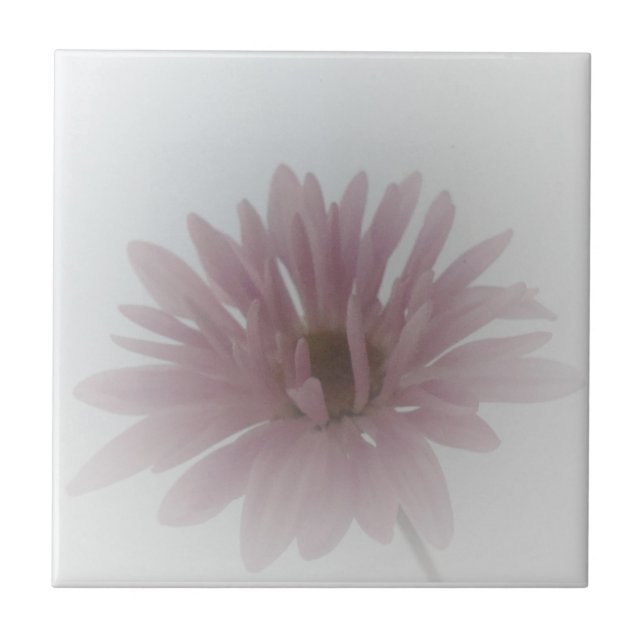 Daisy Haze Tile (Front)