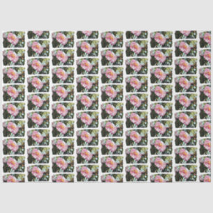 Daisy in Pink Tissue Paper
