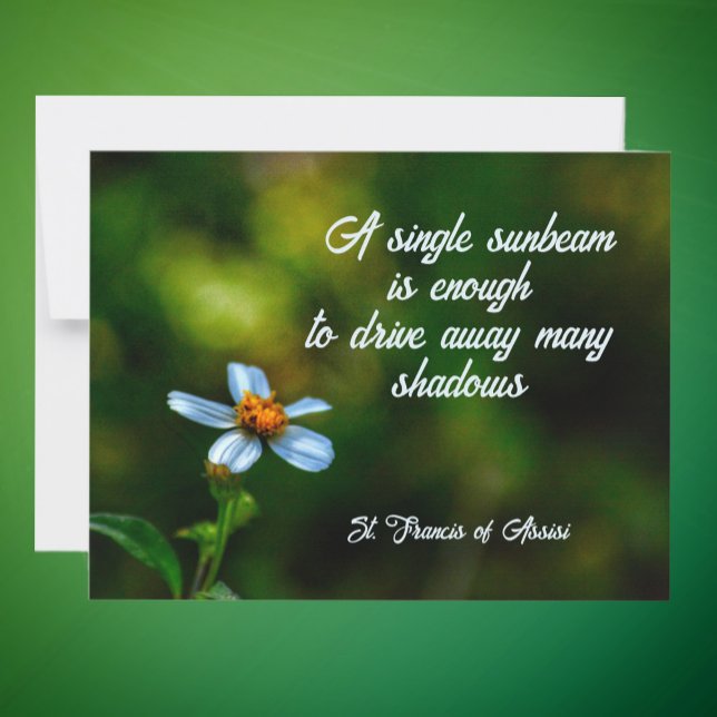 Daisy in Shadows St Francis of Assisi Quote Card (Creator Uploaded)