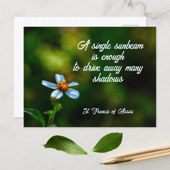 Daisy in Shadows St Francis of Assisi Quote Postcard (Creator Uploaded)