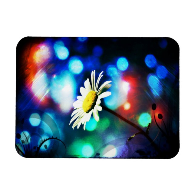 Daisy in Sparkling Lights Magnet (Horizontal)