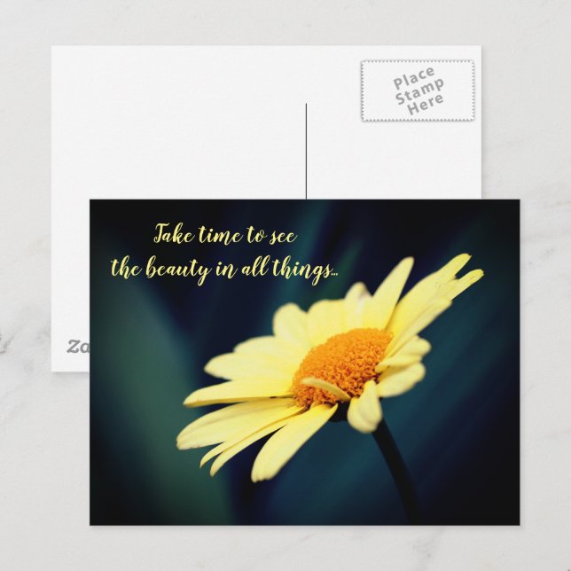 Daisy Inspirational Appreciate Beauty  Postcard (Front/Back)