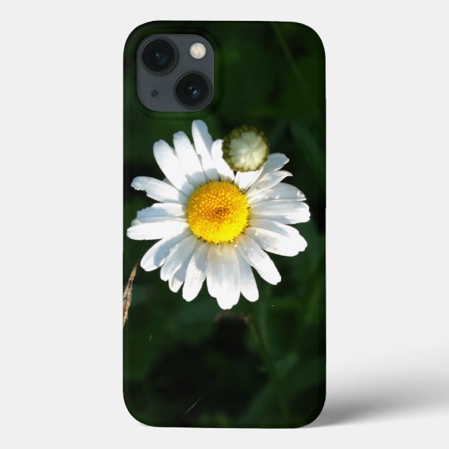Daisy  iPhone 6/6s, Tough Xtreme Case-Mate iPhone Case (Back)