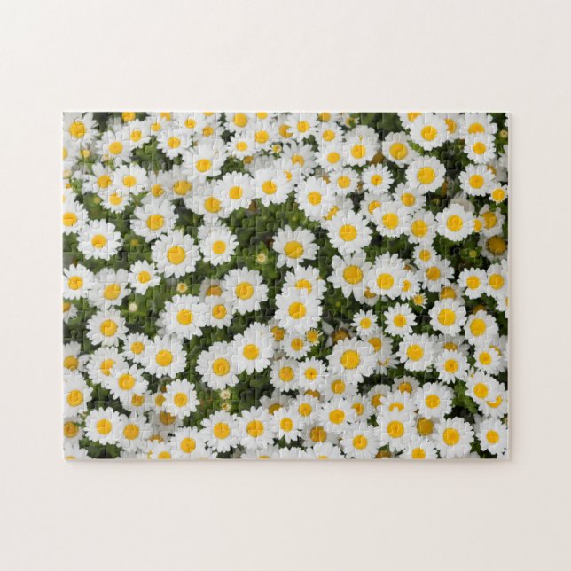 Daisy Jigsaw Puzzle (Horizontal)