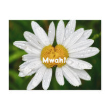 Daisy Kisses Birthday Valentine Love Greeting