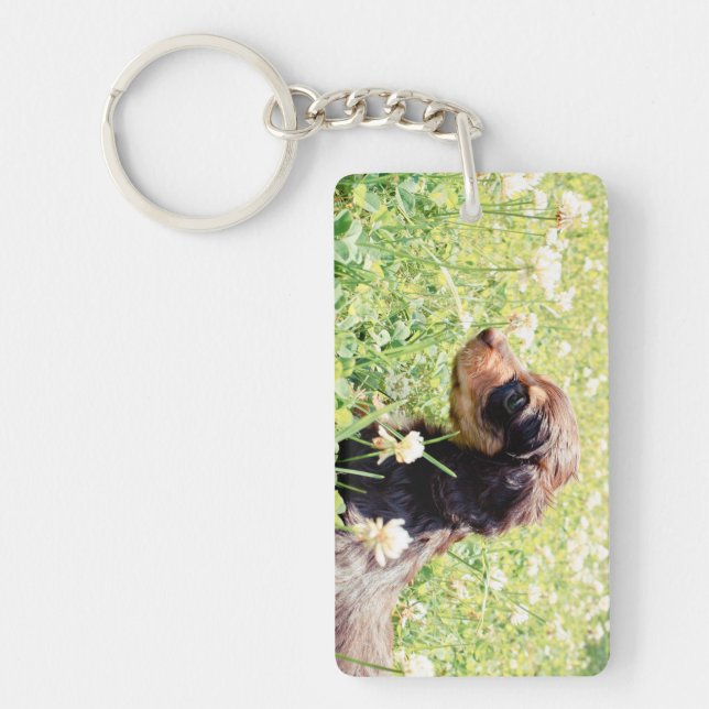 Daisy & Littermates Double Photo Keepsake Key Ring (Front)