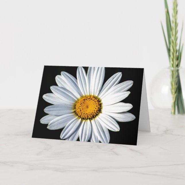 Daisy Mae Greeting Card (Front)