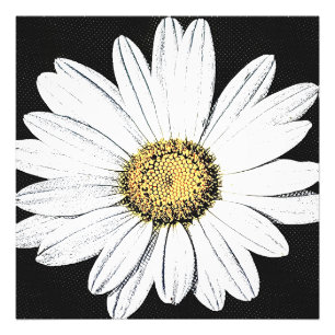 Daisy Mae Photo Print