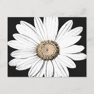Daisy Mae Postcard