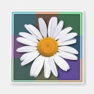 Daisy magnet