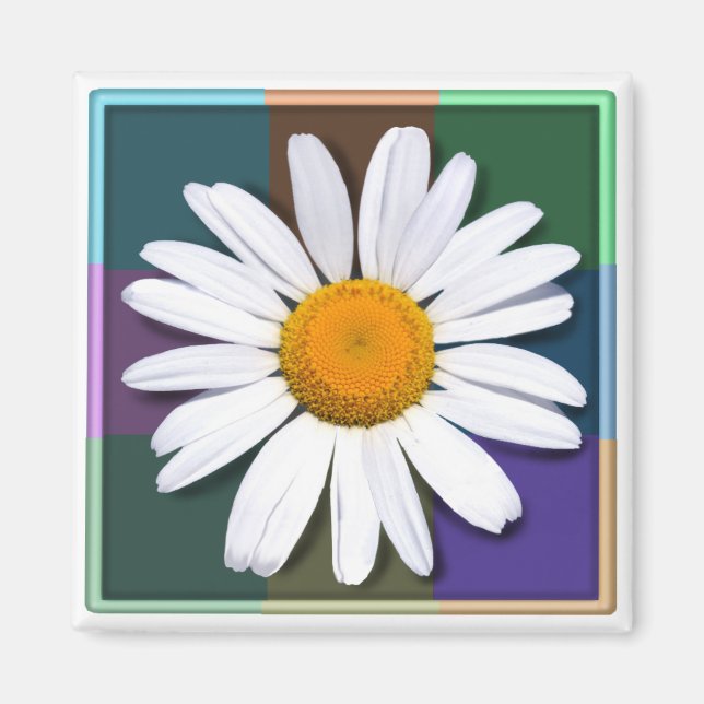 Daisy magnet (Front)