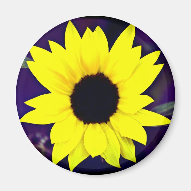 Daisy Magnet (Front)