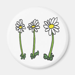Daisy Magnet