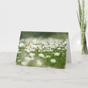 Daisy Meadow Card