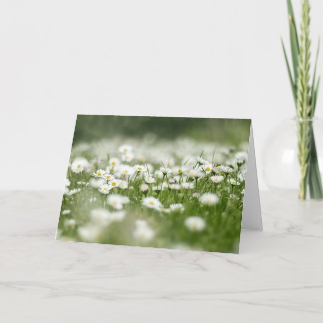 Daisy Meadow Card (Front)