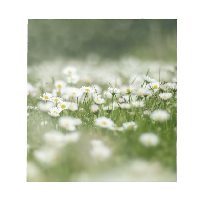 Daisy Meadow Notepad (Front)