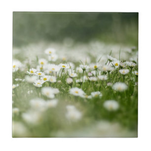 Daisy Meadow Tile