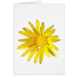 Daisy Note - Blank for your personalisation