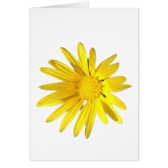 Daisy Note - Blank for your personalisation (Front)