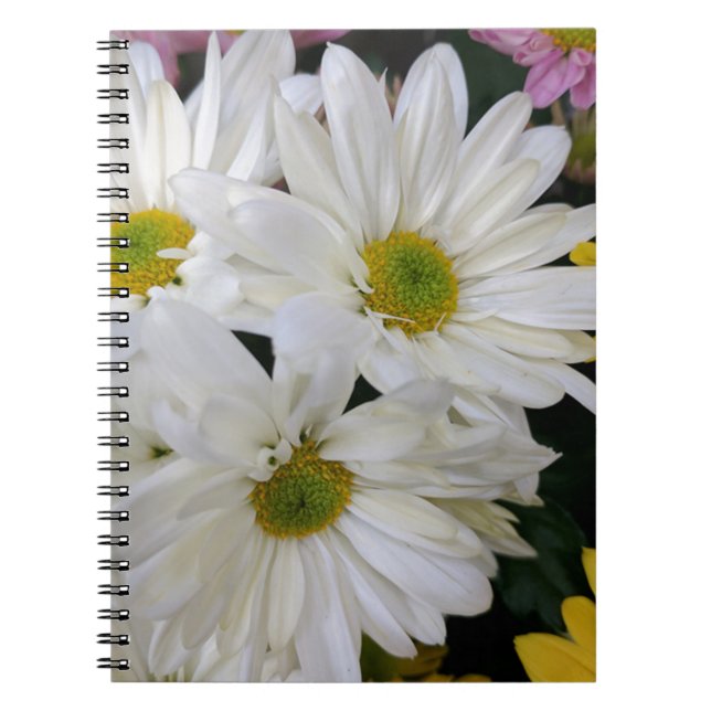 Daisy Notebook (Front)