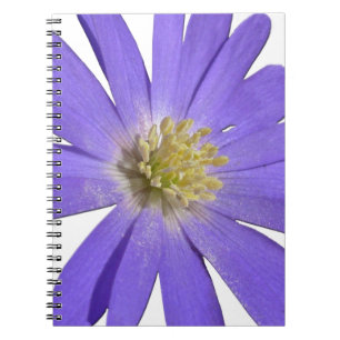Daisy Notebook Blue Daisy Journals Flower Gifts