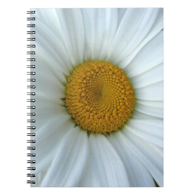 Daisy Notebook Classic Daisy Journals Flower Gifts (Front)