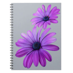 Daisy Notebook Purple Daisy Journals Gifts