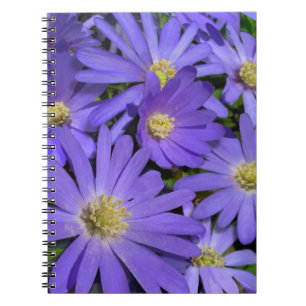 Daisy Notebook Purple Daisy Journals Gifts