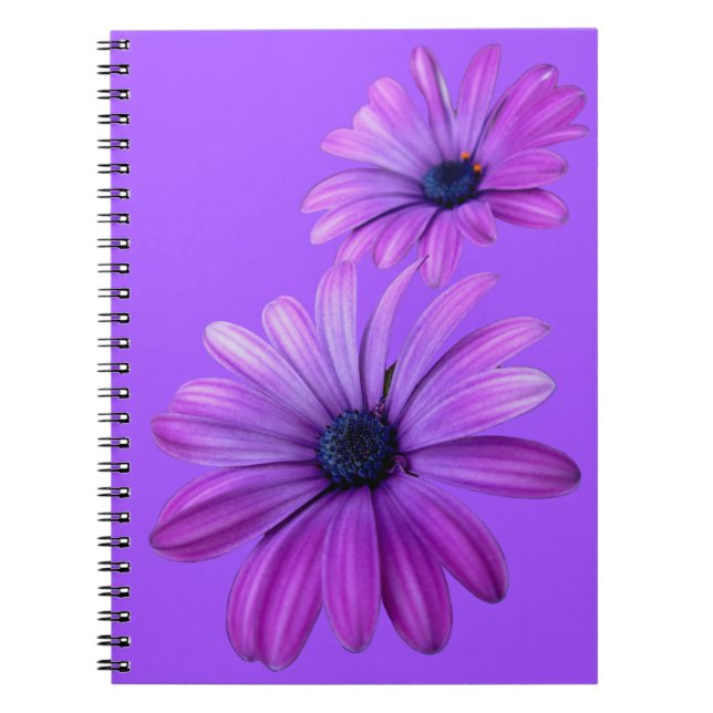 Daisy Notebook Purple Daisy Journals Gifts (Front)