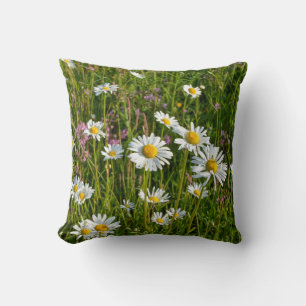 Daisy on a meadow cushion