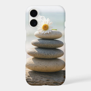 Daisy on a Stone Beach Cairn With Driftwood