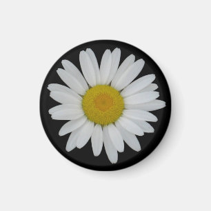 Daisy On Black Magnet