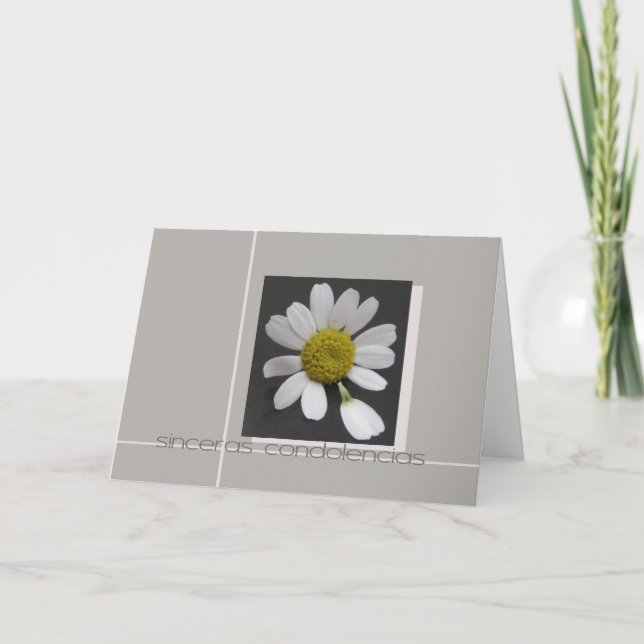 daisy on grey spanish sympathy card (Front)