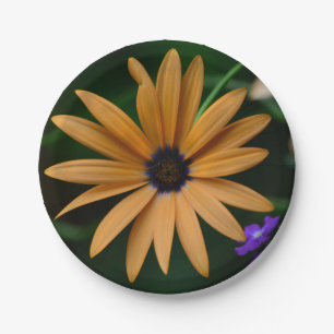 Daisy Paper Plate