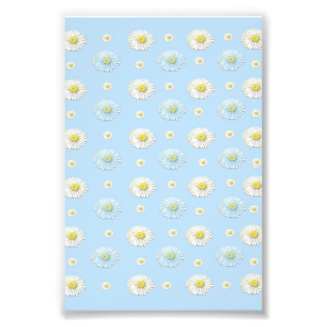 Daisy Pattern on light blue background  Photo Print (Front)