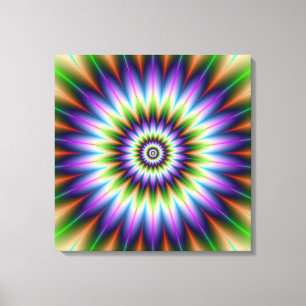 Daisy Petals Canvas Print