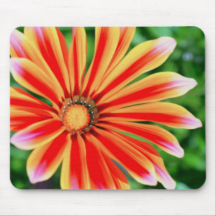 Daisy Petals Mouse Mat