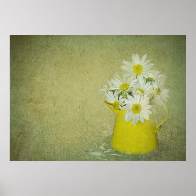 Daisy Petals Poster (Front)