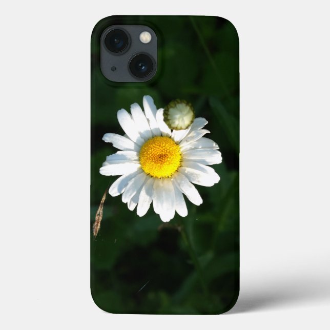 Daisy Photo  iPhone 6/6s, Tough Xtreme Case-Mate iPhone Case (Back)