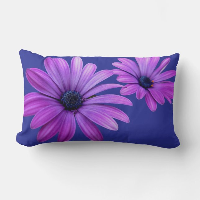 Daisy Pillows Blue Daisies Pillows Flower Decor (Front)