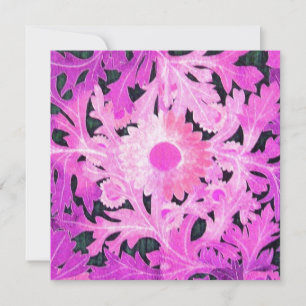DAISY, pink black white Announcement