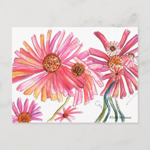 Daisy Pink Flower Postcard