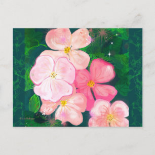 Daisy Pink Flower Postcard 2