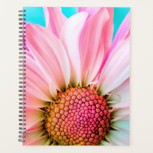 Daisy Planner
