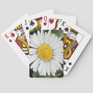 Daisy Playing Cards