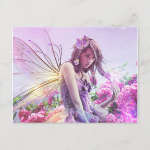 Daisy Post Card