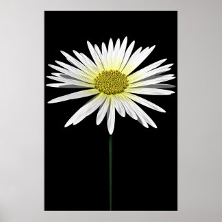 Daisy Poster